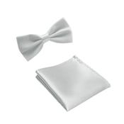 Silver Matching Hanky And Dickie Bow Set image