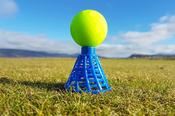 Birtee Pro Golf Tee's - White image