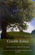 Craobh Eolais - A Festschrift for Ruairí Ó hUiginn image