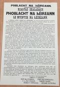 Proclamation of Independence (Large Poster) *Online exclusive* image