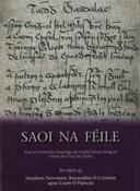 Saoi na Féile image