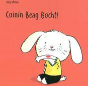 Coinín Beag Bocht image