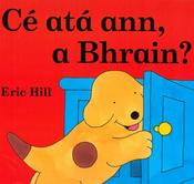Cé atá ann, a Bhrain? (Bran) image