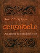 Sengoidelc – Old Irish for Beginners image