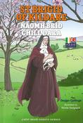 Fado: Naomh Bríd Chill Dara / St Brigid of Kildare image
