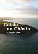 Cuisle an Chósta image