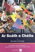 Ar Scáth a Chéile (CSPE) image