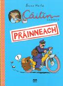 Cáitín Chaoch – Práinneach image