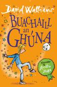 Buachaill an Ghúna (The Boy in the Dress) image