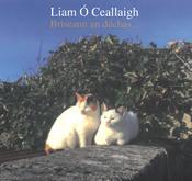 Briseann an Dúchas (CD by Liam Ó Ceallaigh) image
