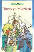 Turas go Meiriceá image