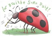 Lá Breithe Sona Duit (bóín Dé le feadóg) image