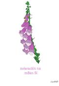 Prionta A4 – Méaracáin na mBan Sí (Nine Arrow)