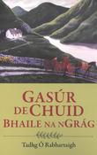 Gasúr de chuid Bhaile na nGrág image