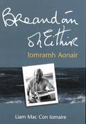 Iomramh Aonair - Breandán Ó hEithir image
