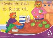 Caoimhín Cat agus an Toirtín Úll – A3 Book image