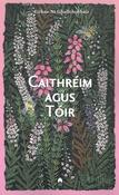 Caithréim agus Tóir image