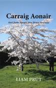 Carraig Aonair – Aistí faoin Naomh John Henry Newman image