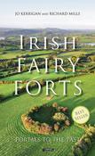 Irish Fairy Forts - Portals to the Past image