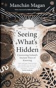 Seeing What's Hidden – Uncovering Ireland's Ancient Ways of Knowing image