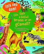 Cén fáth a bhfuil Dronn ar an gCamall? – Inis Seo Dom!