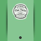 Stories from the Táin image