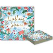 Nollaig Shona – Bosca 10 gCárta Carthanachta – Aware – Patrún le Spideoga agus Cuileann image