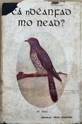 Cá nDéanfad mo Nead? (ar athláimh) image