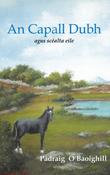 An Capall Dubh agus scéalta eile image