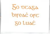 Go dtaga biseach ort go luath – A6 greeting card– Seanchló