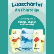 Luaschártaí – An Fharraige / Flashcards – The Sea image