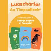 Luaschártaí – An Timpeallacht / Flashcards – The Environment image