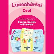 Luaschártaí – Ceol / Flashcards – Music image
