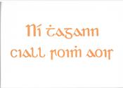 Ní thagann ciall roimh aois – cárta beannachta A6 – Cló Gaelach
