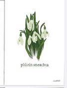Prionta A4 – Plúirín Sneachta (Nine Arrow)