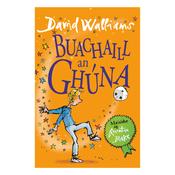 Buachaill an Ghúna (The Boy in the Dress) image