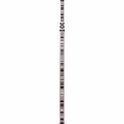 GSS112-3 Sprinter Staff