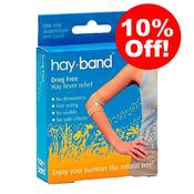 Hayband Hay Fever Band