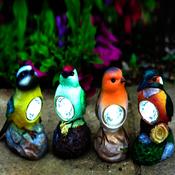 Bird Spots