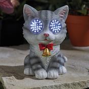 Blinkin' Cat