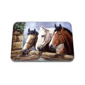 Glass protector (medium)