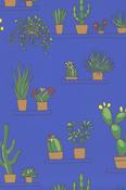 Mr Straw's Greenhouse - Mambo