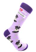 I love my schnauzer socks image