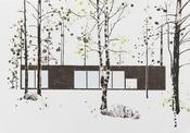 Blaise Drummond - Experimental House For Marimekko