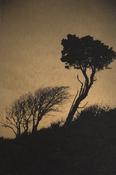 Linda Plunkett - A Gathering Stillness #15 image