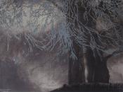 Ailbhe Barrett - Beach Tree, Winter