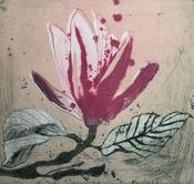 Marta Wakula-Mac - Magnolia xiii