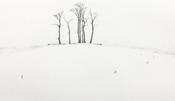 Lars Nyberg - The Grove