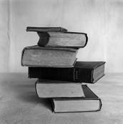 Amelia Stein - Daily Prayers image