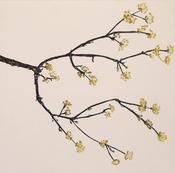 Cliona Doyle - Dogwood
